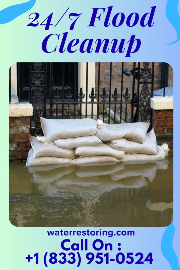 24/7 Flood Cleanup in Forest Lake, MN