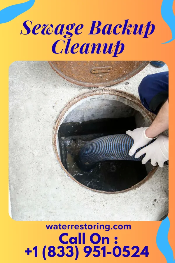 Sewage Backup Cleanup in Forest Lake, MN