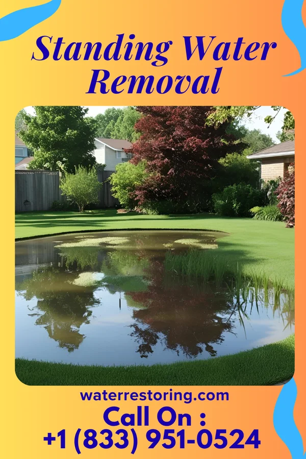 Standing Water Removal in Forest Lake, MN